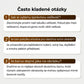 Pánská sada trička a šortek se zlatým logem