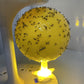 ✨2026 Hot Sale⌛🔥Sticky Fruit Fly Trap Ball with Stand & LED