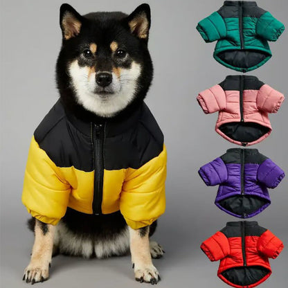 🐕‍🦺závěrečný den 😽Zimní teplá bunda pro kočky a psy