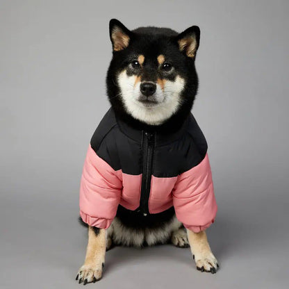 🐕‍🦺závěrečný den 😽Zimní teplá bunda pro kočky a psy