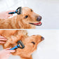 3-in-1 Pet Grooming Tool Set for Dogs & Cats