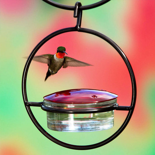 Metal Hanging Hummingbird Feeder