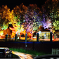 🌳 Prstencová lampa na strom IP65🌙Voděodolná úsporná a snadná instalace