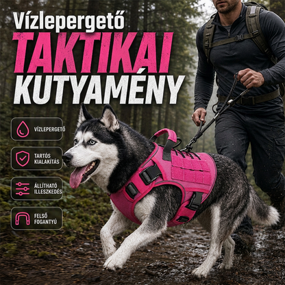 🐕✨Nastavitelný popruh pro přepravu domácích mazlíčků – pohodlná a bezpečná přeprava malých zvířat