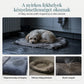 🐱 Oválné lůžko pro domácí mazlíčky s vyměnitelným potahem – vnitřní část z fleece, vnější část z oxfordu, pro psy a kočky✨